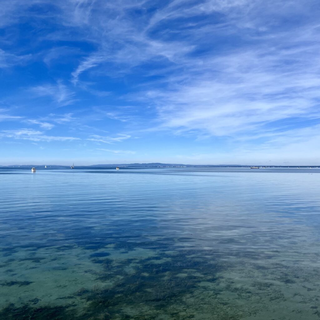 A wide open sky over a beautiful blue lake. The sky is spare with wispy white clouds. A few sailboats dot the surface of the lake towards the horizon. Closer to the camera, one can see sand and the underwater foliage