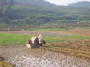 Discusting Land Land Disputes Rights Activism and Emerging Publics in China - Center ...