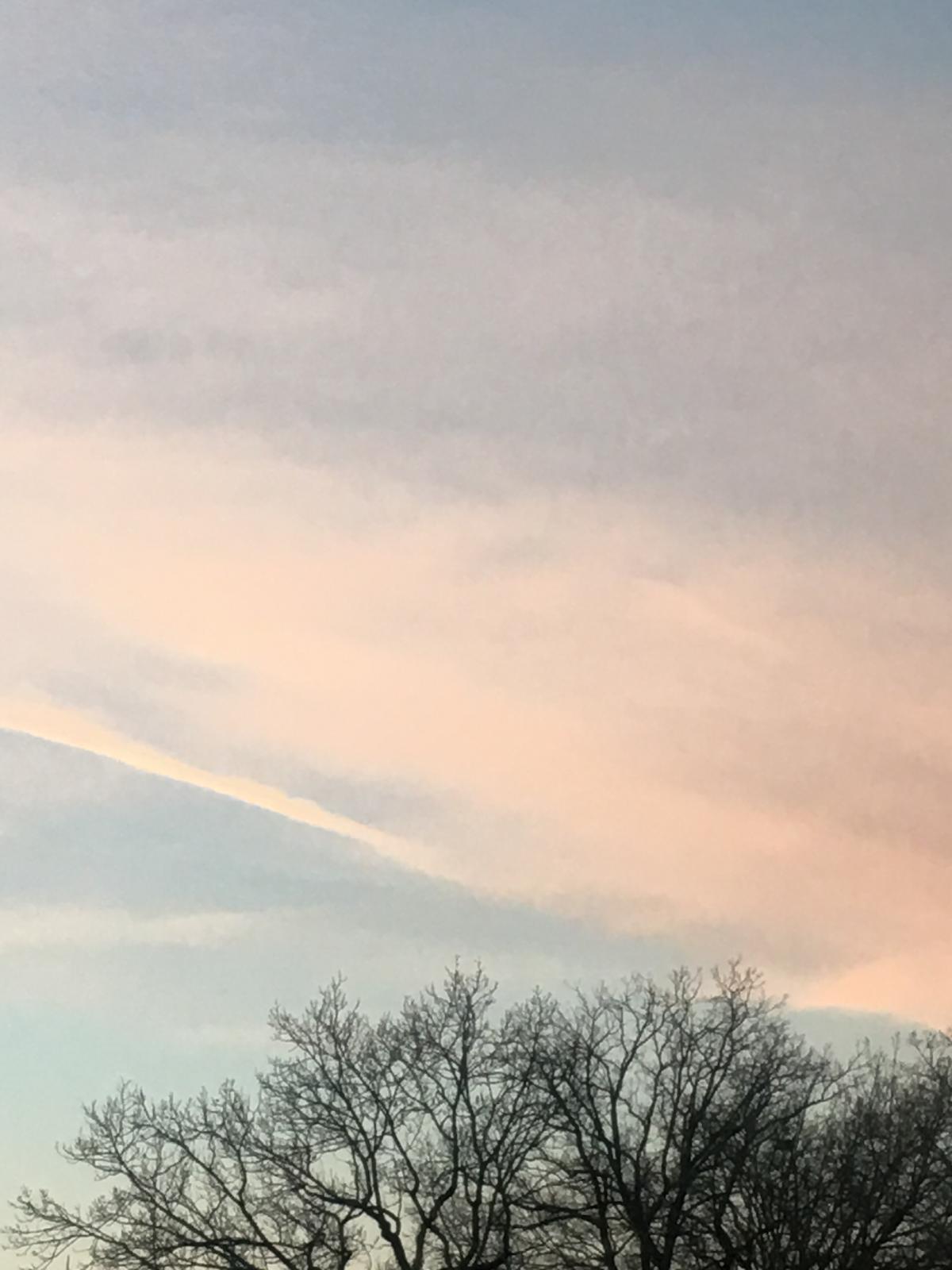 A winter sky in Basel, streaked with soft pink and blue light, stretches above a line of bare trees. The photo was taken by Isabelle.