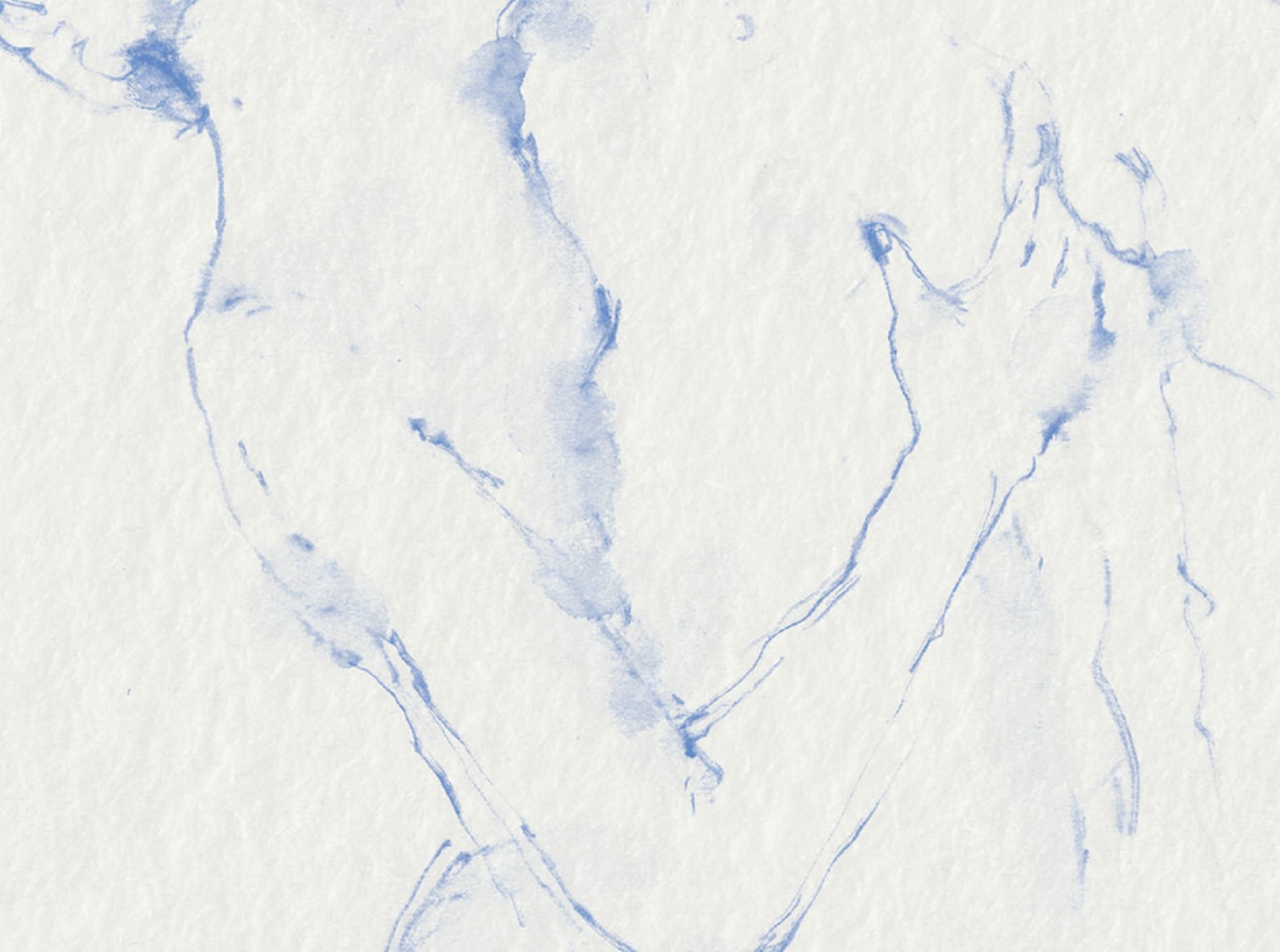 Detail from cover art by Suzanne Goldenberg from Cristina Pérez Díaz's book "From the Founding of a Country"